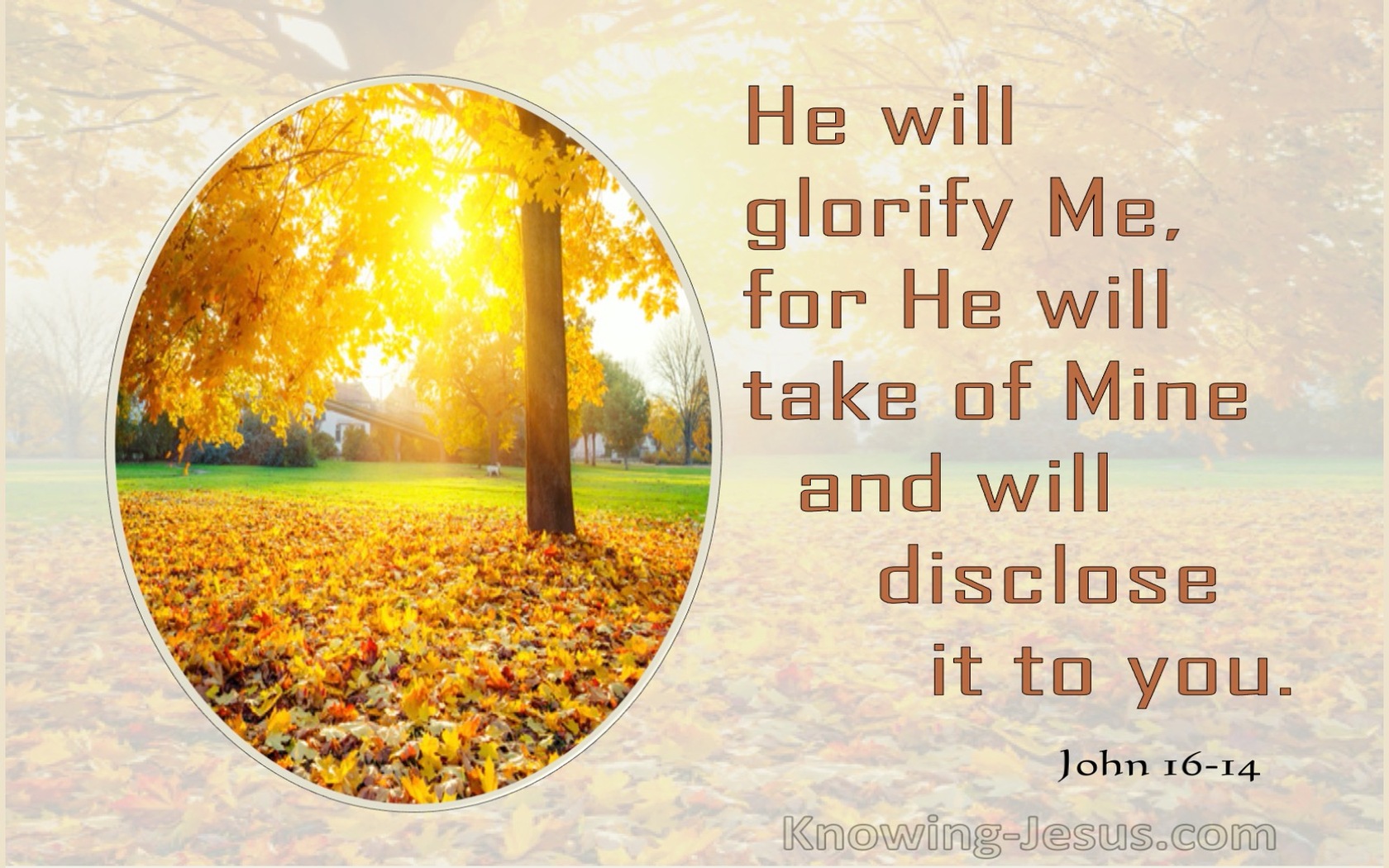 John 16:14 He Will Disclose It To You (brown)